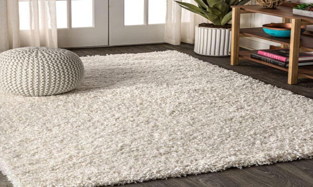 Which type of decorations is well-suited with Shaggy Rugs