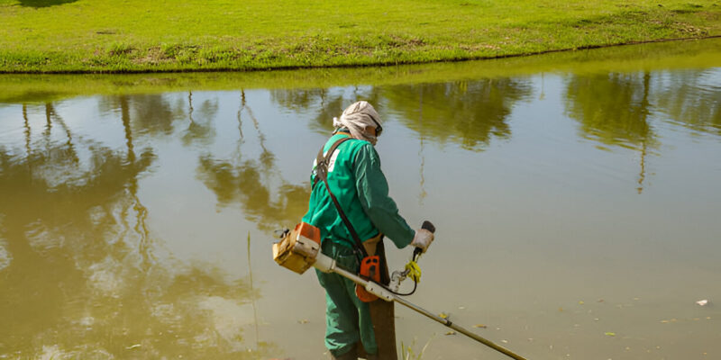 pond cleaning company