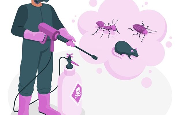 Best Pest Control Solution for Long-Term Relief in Tucson