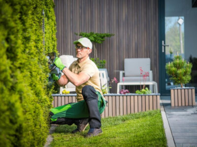 landscape construction company