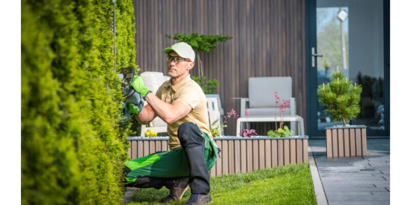 landscape construction company